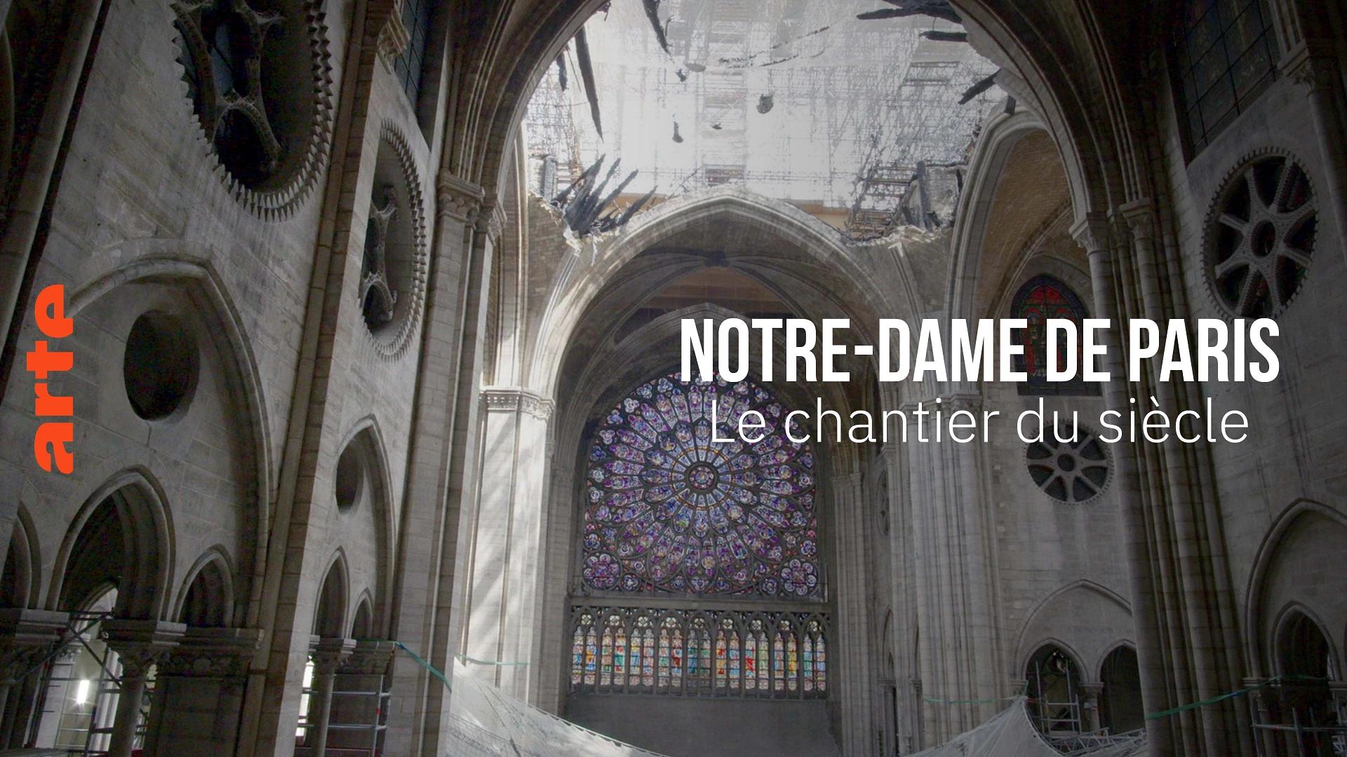 Notre-Dame de Paris, le chantier du siècle