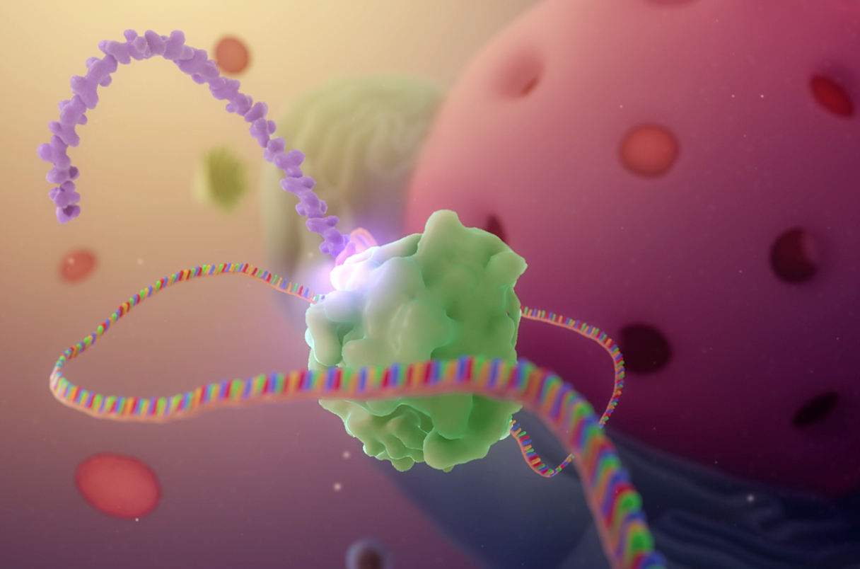 An mRNA vaccine with a twist—it copies itself—protects against COVID 19 Science