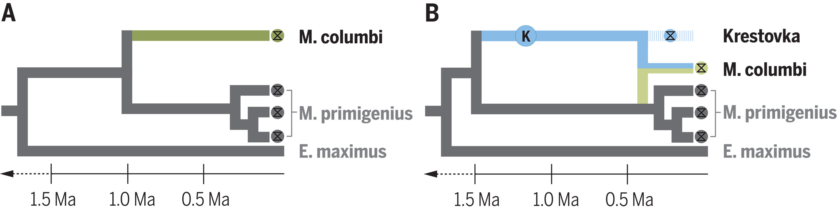 Fig3