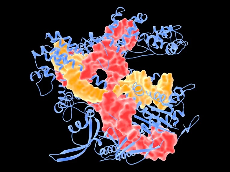 Non viral precision T cell receptor replacement for personalized cell therapy Nature 10 nov 2022