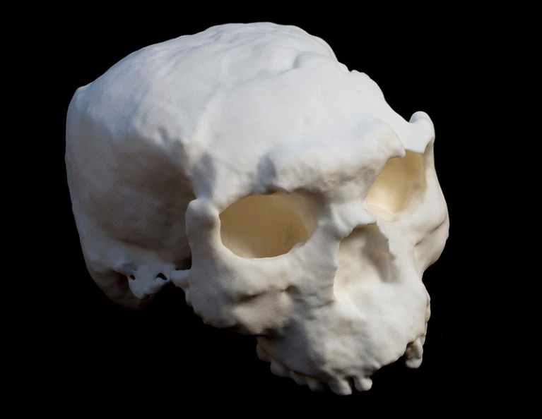 Yunxian skull2 remodelling