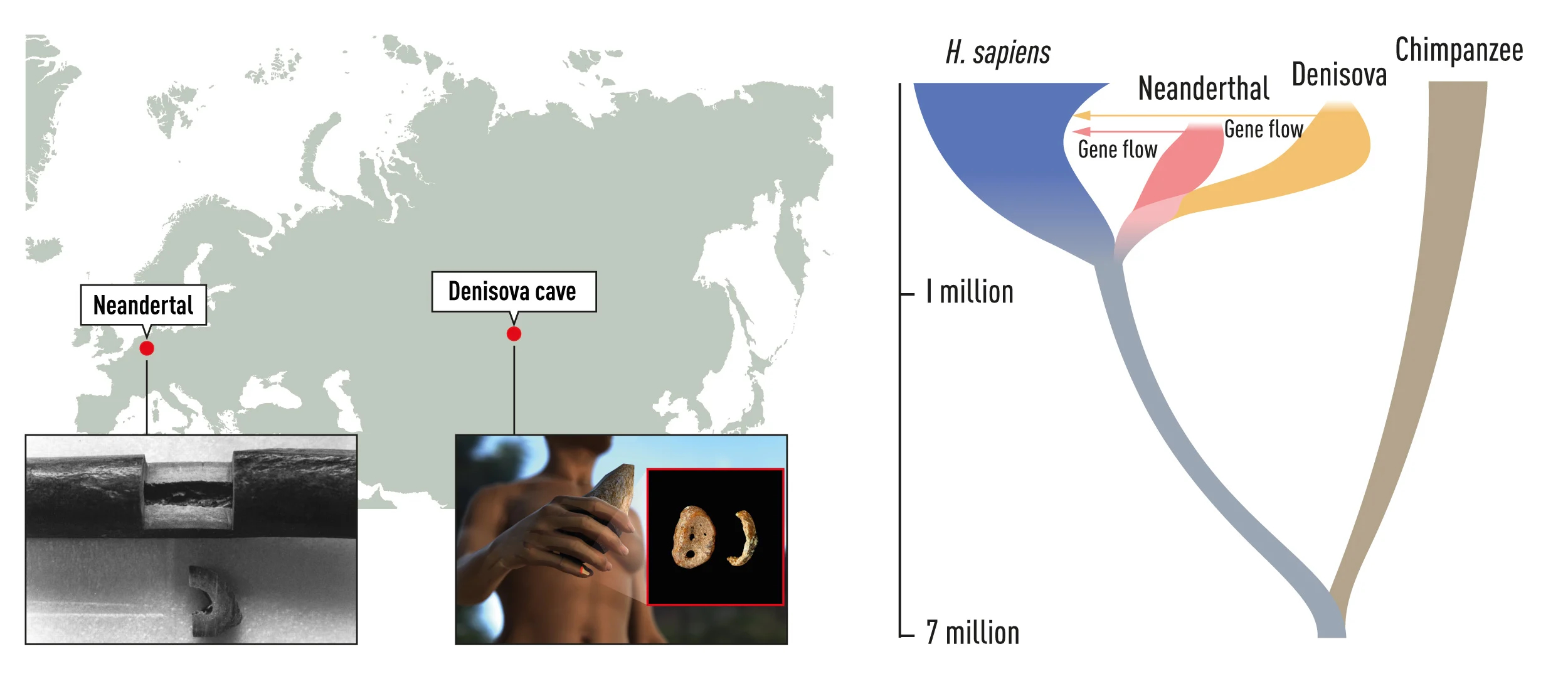 press medicine2022 figure2